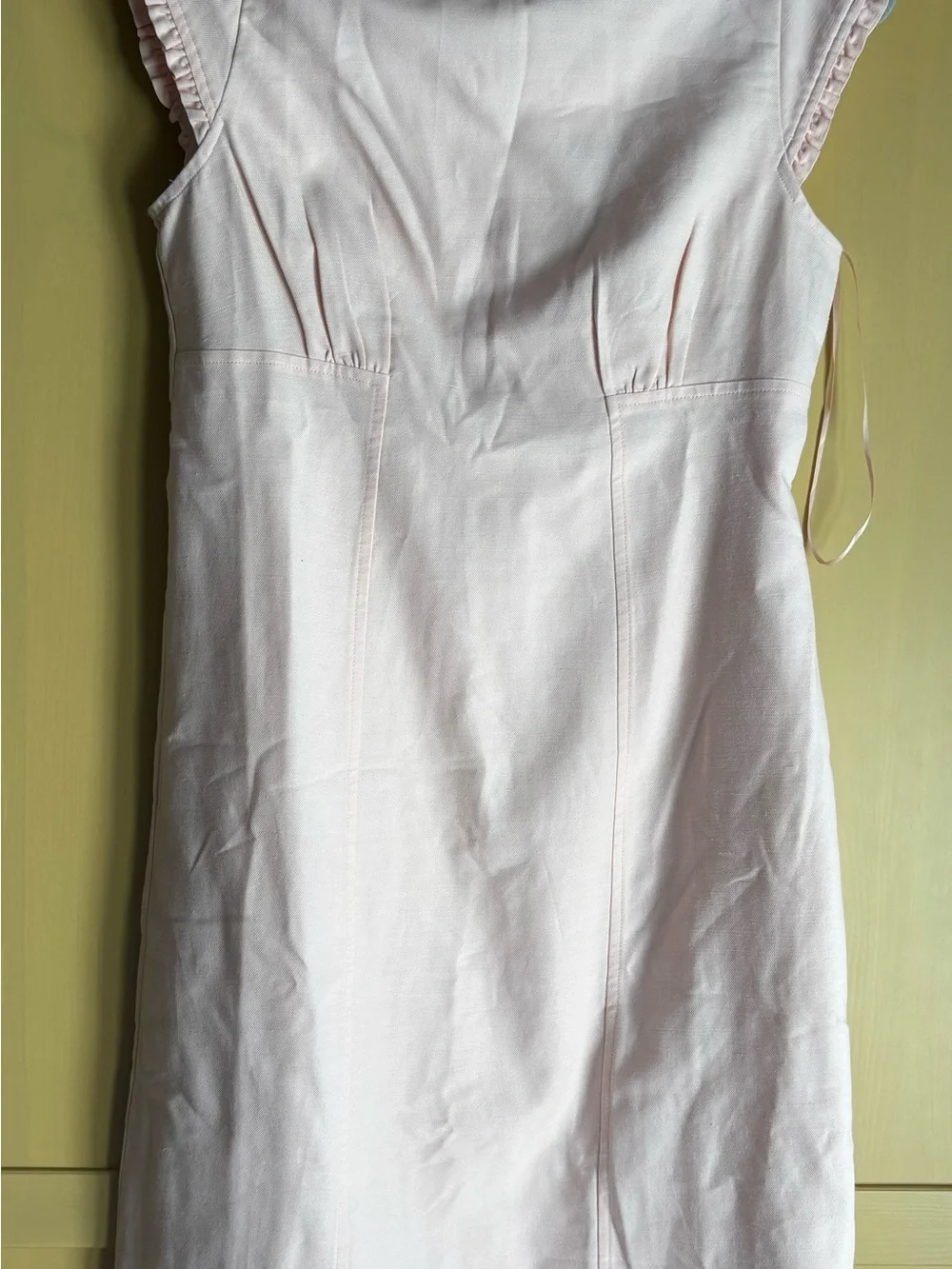 J. Crew Windy Blossom Ruffle-Trim Mini Dress